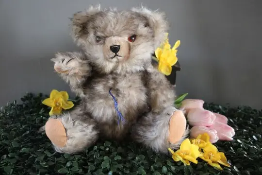 Hermann Teddyberen - Vintage - Teddybeer gespitzt mohair -