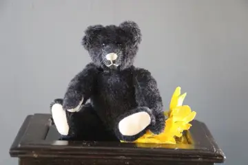Haida, Sonnenberg - Teddybeer zwart - 1980-1989 - Duitsland