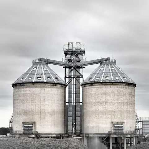 Wiepke Folkerts - Bio Golden Raand #2