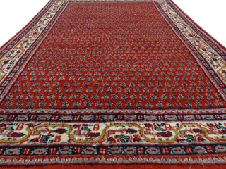 Mir - Cleaned Carpet - 234 cm - 158 cm