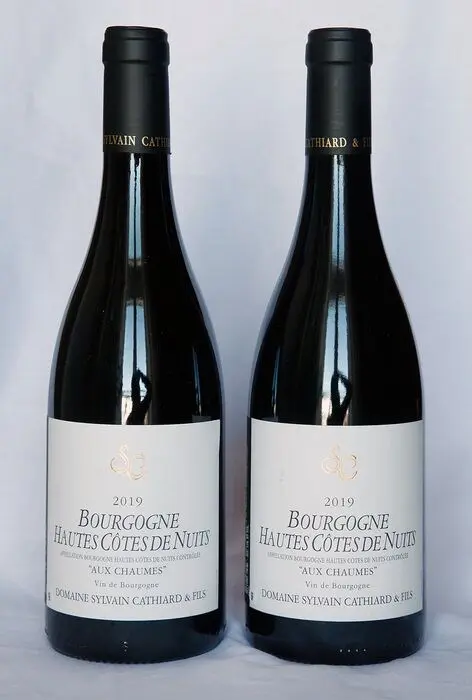 2019 Sylvain Cathiard - Hautes Cotes de Nuits 'Aux Chaumes'