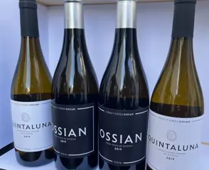 2019 Vides y Viñedos Ossian, 'Ossian Vinas Viejas' x2 &amp;