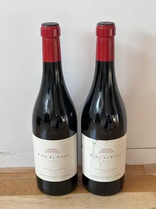 2012 Artadi Viña El Pison - Rioja Reserva - 2 Flessen (0.75