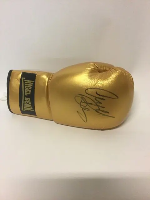 Boksen - Nigel Benn - Bokshandschoen