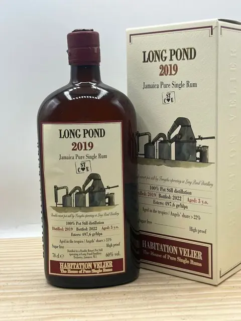 Long Pond 2019 3 years old - Habitation Velier STCE - b.