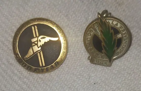 Embleem/mascotte/kenteken - Lot de 2 anciens Insignes , Or