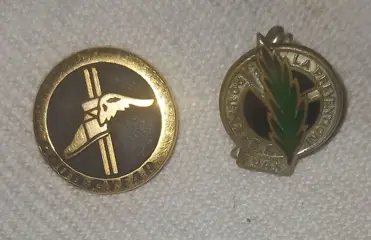 Embleem/mascotte/kenteken - Lot de 2 anciens Insignes , Or