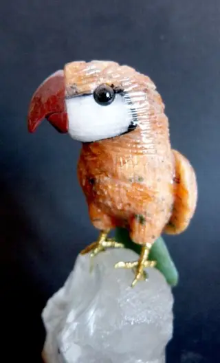 Mooie Braziliaanse papegaai - 15,5 x 10,5 cm - 554 g