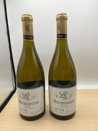 2019 Lucien Le Moine Bourgogne white - Bourgondië - 2