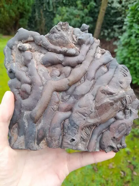 Ijzerslak Ruw - 17×5×15 cm - 1.7 kg