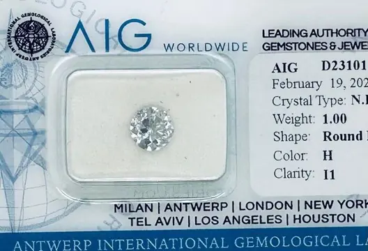 1 pcs Diamant - 1.00 ct - Briljant, Rond - H - P1