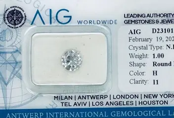 1 pcs Diamant - 1.00 ct - Briljant, Rond - H - P1