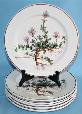 Thymus pulegiodes - Villeroy &amp; Boch - Bord(en) (6) -