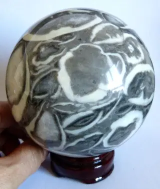 Gefossiliseerde bol van parelmoer - 11 cm - 1.799 kg
