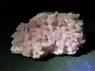 Kobaltcalciet - Prachtig cluster - 90×55×50 mm - 202 g