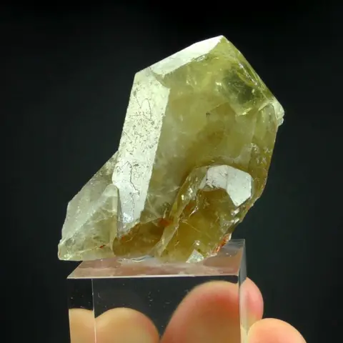 Bariet scepter - Châtel-Guyon, Auvergne, Frankrijk -