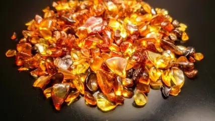 Amber - Gepolijste ruwe vormstenen - 10×5×5 mm - 1401 g