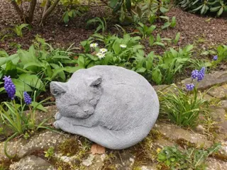 Grote kat , poes beton
