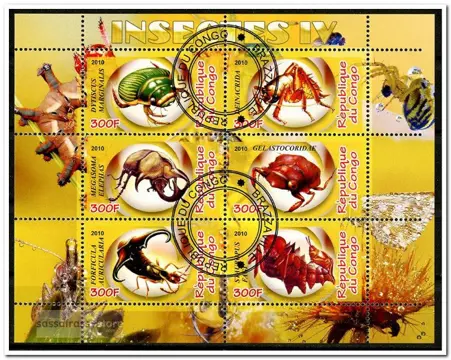 CINDERELLA: Insecten / Insects IV - Congo - 2010