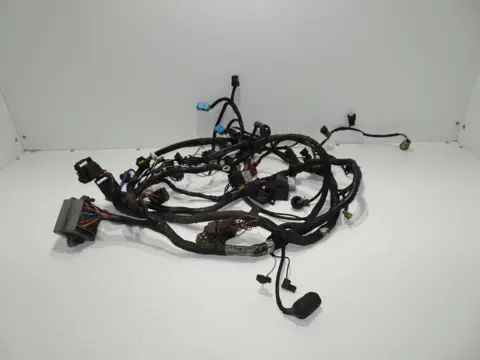 KABELBOOM Triumph Tiger 900 1999 - 2000