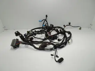 KABELBOOM Triumph Tiger 900 1999 - 2000