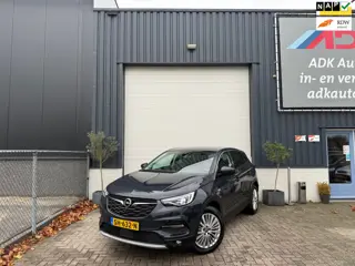 Opel Grandland X 1.2 Turbo Business Executive 360 CAMERA/STUUR-STOELVVERW/LED/TREKHAAK