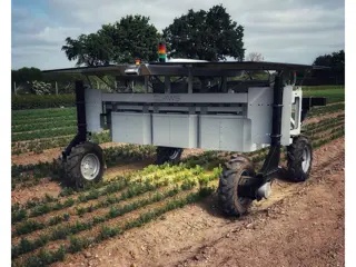 Onkruid laser weeder - autonoom - zonnepaneel - accu - geconcentreerd licht