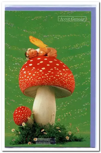 Wenskaart met enveloppe: Anne Geddes (1997): Toadstool Fairy