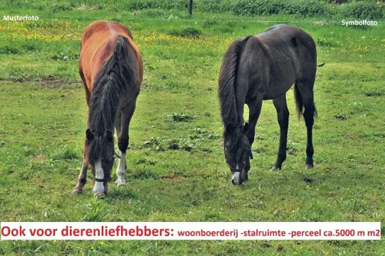 Dierenliefhebbers, woonboerderij, stallen, perceel 5000m2