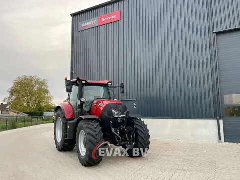 Case IH Puma 175 CVX (bj 2025)