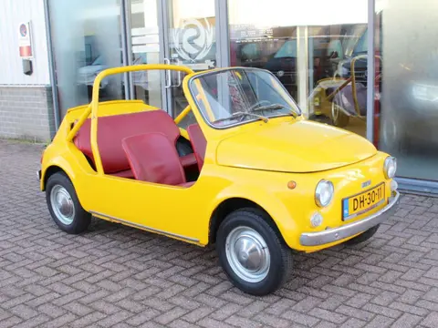 Fiat 500L (bj 1971)