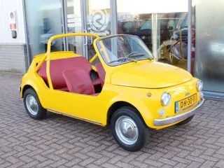 Fiat 500L (bj 1971)