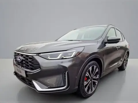 Ford Kuga 2.5 PHEV ST-Line X | Panoramadak