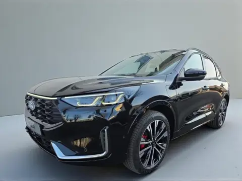 Ford Kuga 2.5 PHEV ST-Line X | Panoramadak