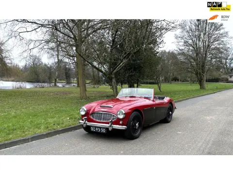 Austin-Healey AUSTIN-HEALEY 100 3000 Gerestaureerd en scherp geprijsd.