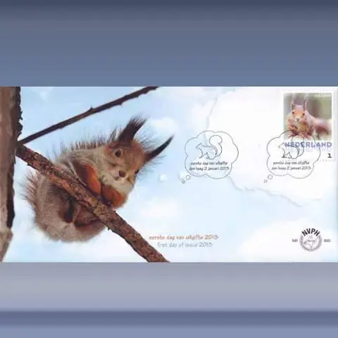 Eekhoorn (2januari2013)