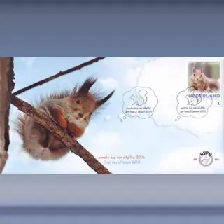 Eekhoorn (2januari2013)