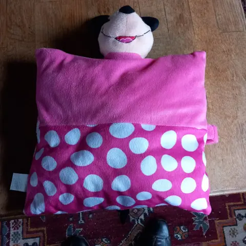 Disney knuffelkussen- heerlijk zacht