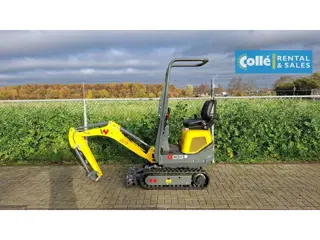 WACKER NEUSON 803 | 2025 (bj 2025)