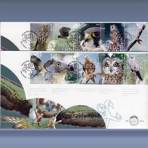 Roofvogels en Uilen (2020)