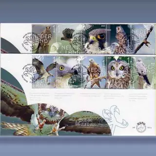 Roofvogels en Uilen (2020)