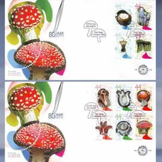 Paddestoelen (1-oktober-2008)