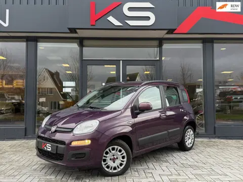 Fiat Panda 0.9 TwinAir Lounge Automaat Pdc 1e eigenaar