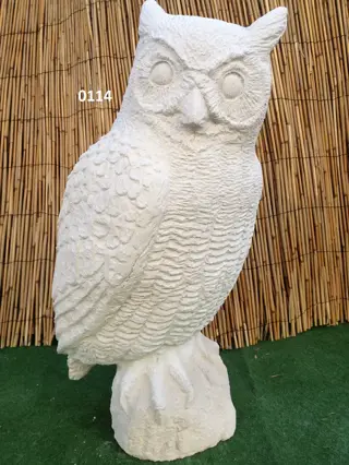 Grote uil een aanwinst voor de tuin