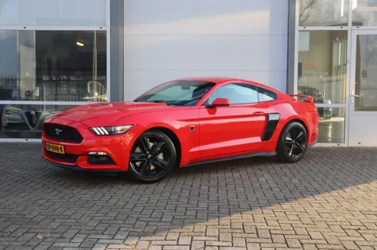 FORD MUSTANG FASTBACK 2.3 ECOBOOST/370PK/ROUSH UITL/6BAK/19