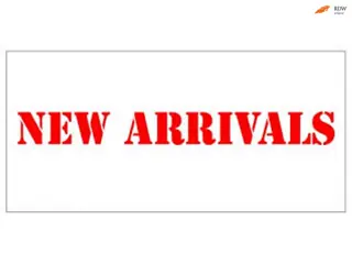 Renault Clio 1.2-16V Dynamique