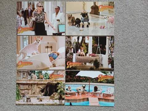 BEVERLY HILLS CHIHUAHUA lobbycard set.