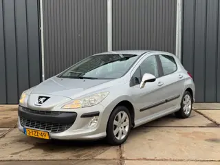 Peugeot 308 1.6 VTi XS Klepseals vervangen | Automaat