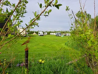 Gemoedelijk kamperen op centraal gelegen boerderijcamping