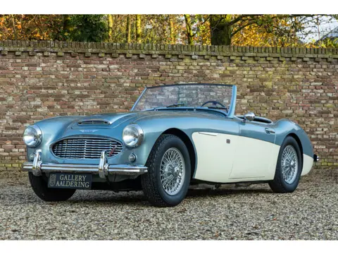 Austin Healey 3000 MKI Overdrive BN7 "Two seater" Two-seater BN7 in much-appreciated color scheme “I